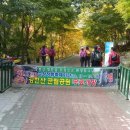 삼호당구장 이미지