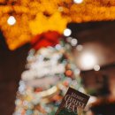 홀리크로스 이미지