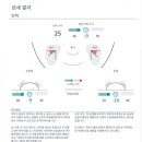 바르다화장품