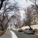 박차정 의사 동상 | 서울. 남산 안중근 기념관 방문기