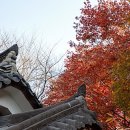 청성역사공원1 이미지