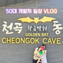 천곡천연동굴 | 동해 여행 코스 추천! 도심 속 4~5억 년 태고의 신비, 천곡황금박쥐동굴 방문 후기
