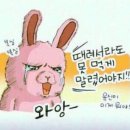 에스샵 - 청주시 흥덕구 가로수로 1364 | 에스샵
