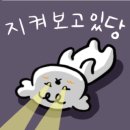 일영모자농원캠핑장 이미지