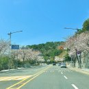 신선대 중턱 이미지