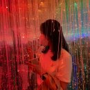 신엄안길 이미지