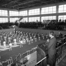 한반도태권도 이미지