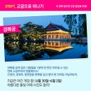 투어가자