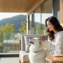 작은별장 | 남이섬 호텔 정관루 투투별장에서 애견과 실제 숙박해본 솔직 후기