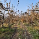 와룡면_중가구리_농로_010 이미지