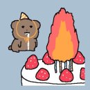 남애리오션뷰별장 | 태안 오션뷰 숙소 추천 신두리5초바다별장 A101 후기