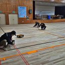 군산여자고등학교 이미지