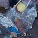 우드잇스테이 | 포천 겨울여행 불멍 바베큐 애견동반 독채펜션 스테이우드잇 재방문후기