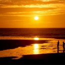 싸게싸게 이미지