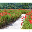 요산공원 이미지