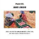 해남 꿀고구마, 겨울 간식으로 딱! 에어프라이어로 맛있게 즐기기