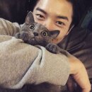 으른이라면