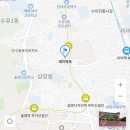 은행나무약국 네이버블로그