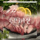 한잔수산 | [내돈내산] 평택 방어 맛집 - 한잔회수산 🍣✨