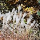 마장 주유소 이미지