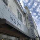 솥쟁이 이미지