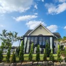 설향이야기 이미지