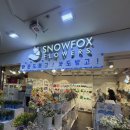 잠실역 지하상가 | 잠실 가성비 좋은 꽃집 추천｜스노우폭스플라워 잠실역점 꽃 종류·가격 내돈내산 후기