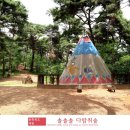 제천 아이와 가볼만한곳 솔솔솔 다람쥐숲 유아숲체험원
