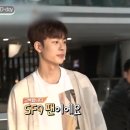 야자수, 스쿠터, 밀크티사랑