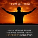 (주)티마드