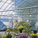 학신로-2 | 구미장천면맛집 오리불고기 연잎정식 추천 더백수