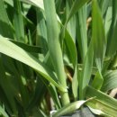 정읍휴게소(하) 이미지