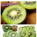 백이산 농장 Daum카페