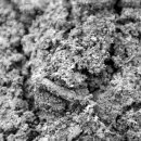 월은농장 이미지