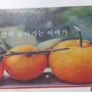 도순농장 네이버블로그