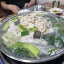 용인정 티스토리