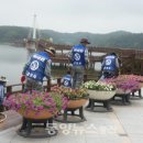 군산보건소 이미지