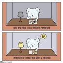 도그라이프행복분양 | 제주로그 24.11.15