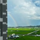 림앤도기살롱 이미지