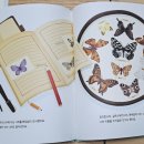 나룰초등학교 이미지