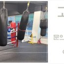 고잔복싱 이미지