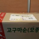 종순농장 이미지