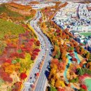 성호공원 롤러스케이트장