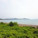 진도대교주유소 이미지