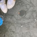 백학낚시터 | 빙어낚시 ) 백학저수지 / 백학낚시터 /첫 빙어낚시 텐트, 취사 가능 ‎•ܫ•