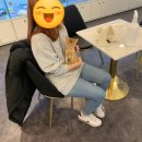 제이제이캣 | 아비시니안 분양후기는 제이제이캣
