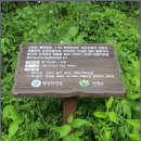 소류정 Daum카페