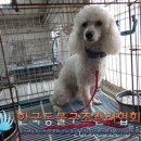 성심사 이미지