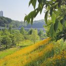 운정호수공원 상가 앞 이미지