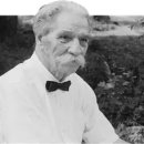 파워라인 이미지